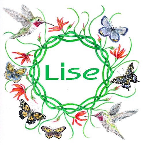 Lise Winne - Website